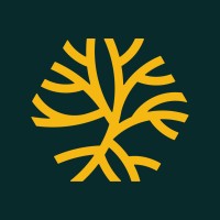 Metaroot logo - Similar company to Lemon3 Studio