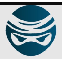 Digital Ninja 9 logo - Similar company to Intercore Technologies, Inc.