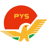 PYS High-Tech Co., Ltd logo - Similar company to Weallans Electronics Technology Co., Ltd