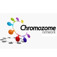 Chromozome Digital Marketing Agency logo - Similar company to Vgs Tech Solutions