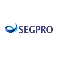 SEGPRO Insurance logo - Similar company to Segpro Solutions