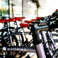 Bicho Bikes logo - Similar company to Bni Victoria