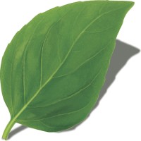 J. Tillman Group, Inc. logo - Similar company to Ricano