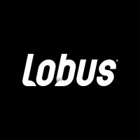Lobus Gerenciamento logo - Similar company to Coco Prime - Gelo Saborizado Teresina