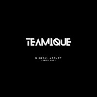 Teamique logo - Similar company to Luxussphere