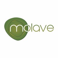 Molave Home logo - Similar company to Fleethive