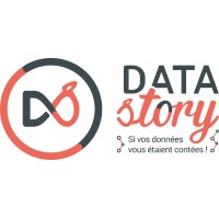 Data Story logo - Similar company to Data Stories