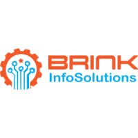 Brink Info Solutions logo - Similar company to Peepal Software Solutions