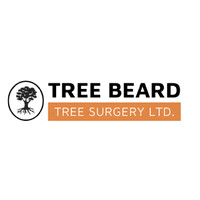Tree Beard Tree Surgery ltd logo - Similar company to Wilson Tree Surgery