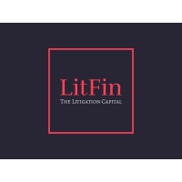LitFin Capital logo - Similar company to Principles Auditing