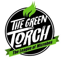 The Green Torch LLC., logo - Similar company to Cannabiz Of Mass