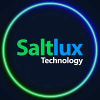 Saltlux Technology logo - Similar company to Saltlux (솔트룩스)