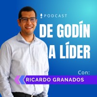 De Godin a Líder logo - Similar company to Fibonacci Ingeniería Sa De Cv