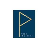 Pugh Insights logo - Similar company to Bmore Empowered Inc