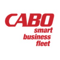 CaboRentACar logo - Similar company to Integrated Musculoskeletal Care, Inc.