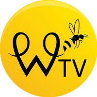 Watford-Tv