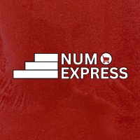 Num Express logo - Similar company to Gameboosthub