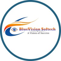 Blue Vision Softech logo - Similar company to Imborn Digital