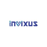 Invixus Technology & Consulting Pvt. Ltd. logo - Similar company to Global Technology