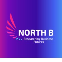 North B Consulting logo - Similar company to Eretailing Associates Llc
