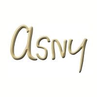 THE ASNY COMPANY LLC logo - Similar company to Accounting Solutions Of Ny