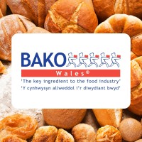 Bako Wales logo - Similar company to Re:Test Group
