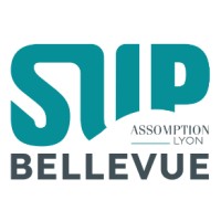 Sup Bellevue Assomption Lyon logo - Similar company to Akdag Import Export