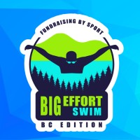 Big Effort Foundation logo - Similar company to Spendboss