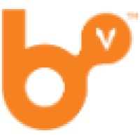 BIG Visioneering Inc.