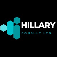 Hillary Consult logo - Similar company to Learnible Global