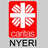 Caritas Nyeri logo - Similar company to Nyeri County