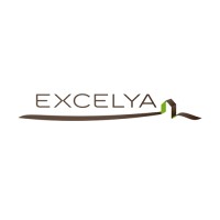 Excelya Promotion logo - Similar company to Riff Architectures