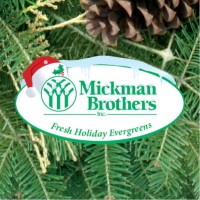 Corporate Gift Wreaths logo - Similar company to Corporate Gift 26 .Com
