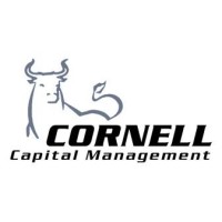 Cornell Capital Management logo - Similar company to Lumi