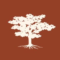 The Branching Times logo - Similar company to Mindscope