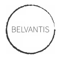 Belvantis logo - Similar company to Bilvantis Technologies