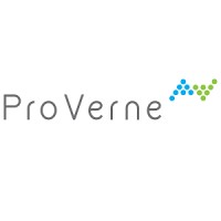 ProVerne Solutions logo - Similar company to Dofort Technologies