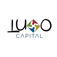 Ludo Capital logo - Similar company to Hector Ventures Llc