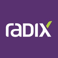 Radix Engenharia E Software
