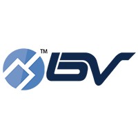BV SECURITY logo - Similar company to Heivision