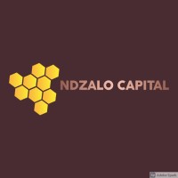Ndzalo Capital logo - Similar company to Bold Cc