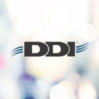 DiscipleData, Inc. logo - Similar company to Spayside Consulting Llc