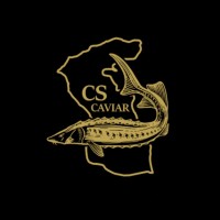 CS CAVIAR logo - Similar company to Caviar Multimedia
