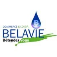 BELAVIE SARL logo - Similar company to Bellavie Md