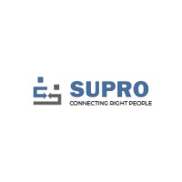 supro info solution pvt ltd. logo - Similar company to Supro Consulting