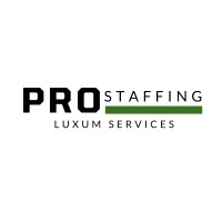 Pro Staffing Bolivia logo - Similar company to Control Experto