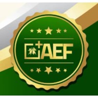 Africa Educational Management and Leadership Forum -AEF logo - Similar company to D-Ivy College