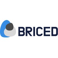 BRICED logo - Similar company to Ganes-Solutions
