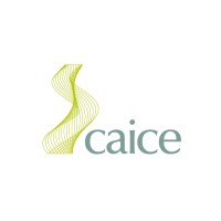 Caice logo - Similar company to Simply Vent