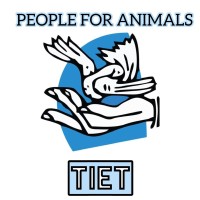 Campus PFA TIET logo - Similar company to Terran One
